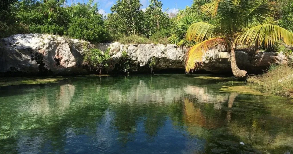 Tulum Natural Ecosystems and Wildlife Tulum Natural Ecosystems and Wildlife