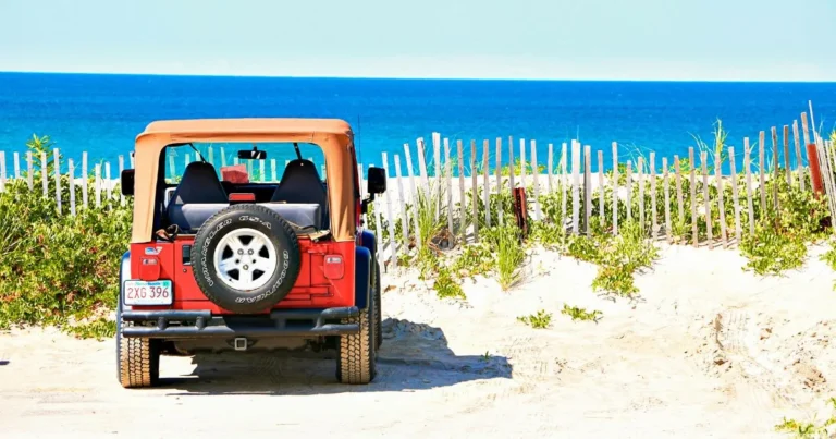 things to do in cape cod