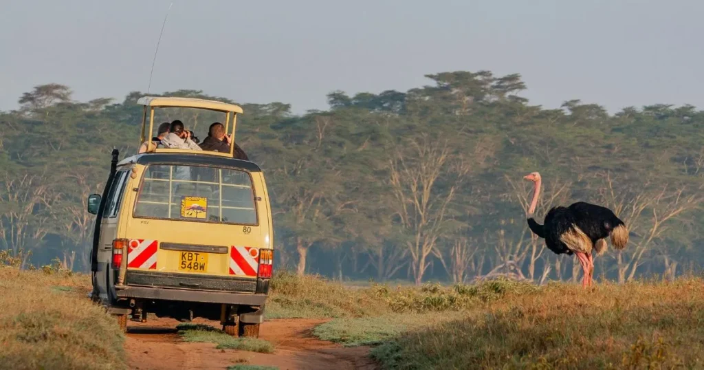 Cost-effective Vacations in Africa Cost-effective Vacations in Africa