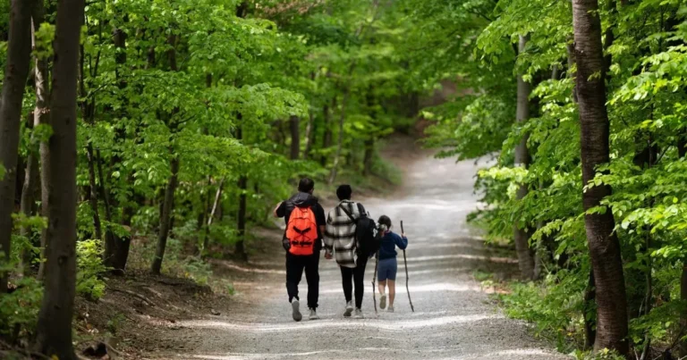 spring break trips for families