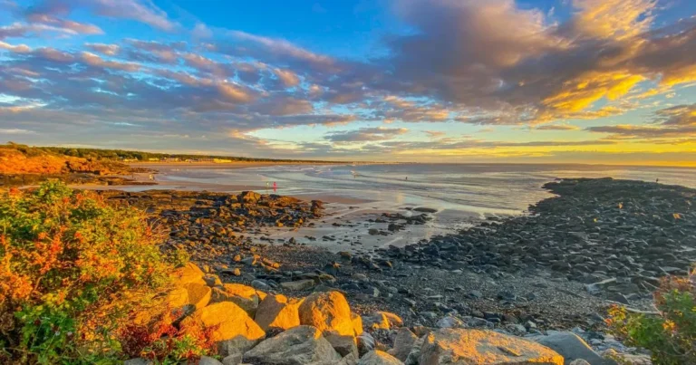 marginal way ogunquit maine